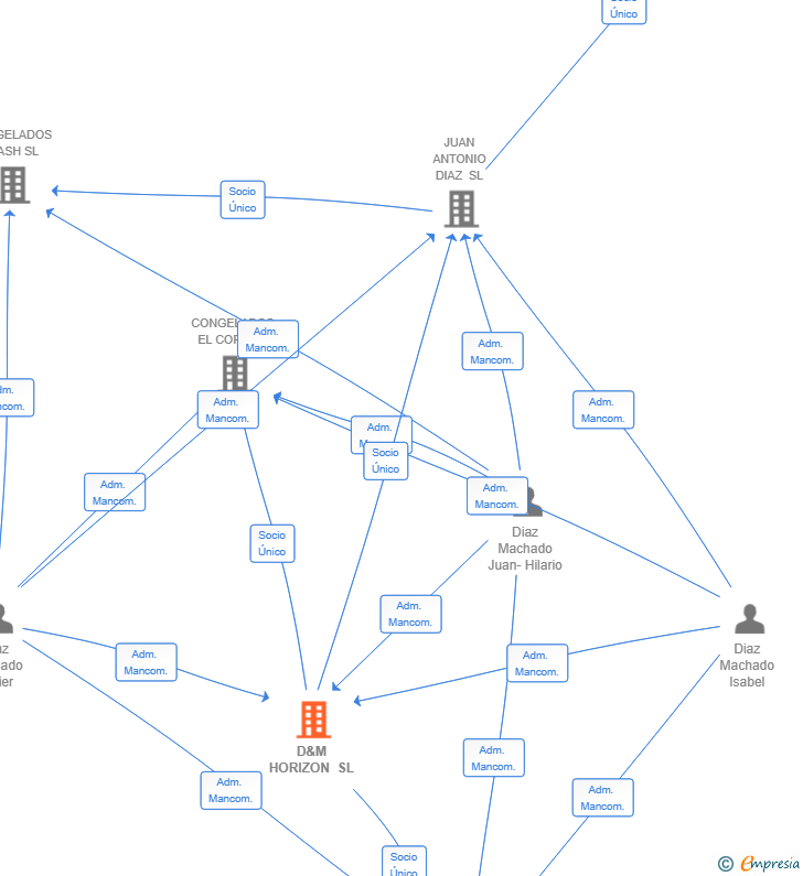 Vinculaciones societarias de D&M HORIZON SL