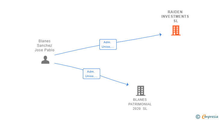Vinculaciones societarias de RAIDEN INVESTMENTS SL