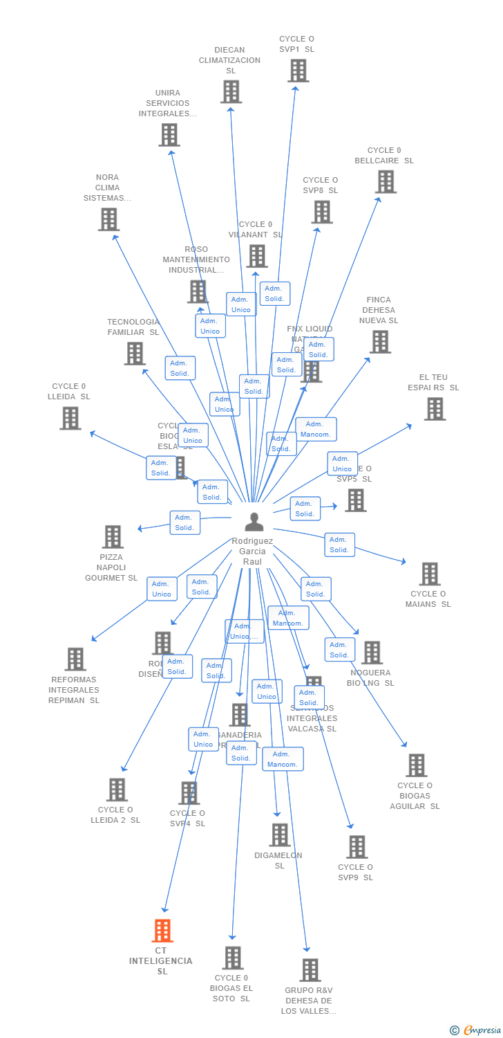 Vinculaciones societarias de CT INTELIGENCIA SL