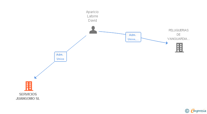 Vinculaciones societarias de SERVICIOS JUANGOMO SL