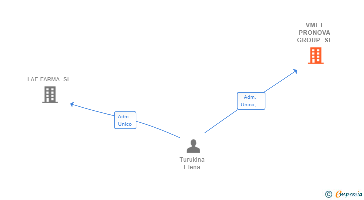 Vinculaciones societarias de VMET PRONOVA GROUP SL
