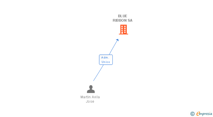 Vinculaciones societarias de BLUE RIBBON SA