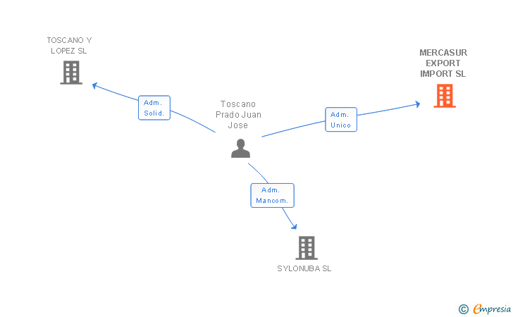 Vinculaciones societarias de MERCASUR EXPORT IMPORT SL