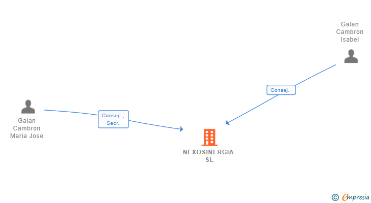 Vinculaciones societarias de NEXOSINERGIA SL