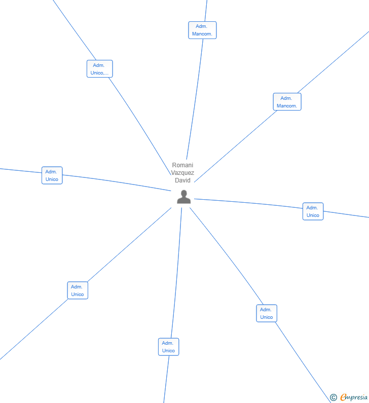 Vinculaciones societarias de DAMAR ALMATRET 2025 SL