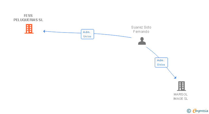 Vinculaciones societarias de FESS PELUQUERIAS SL