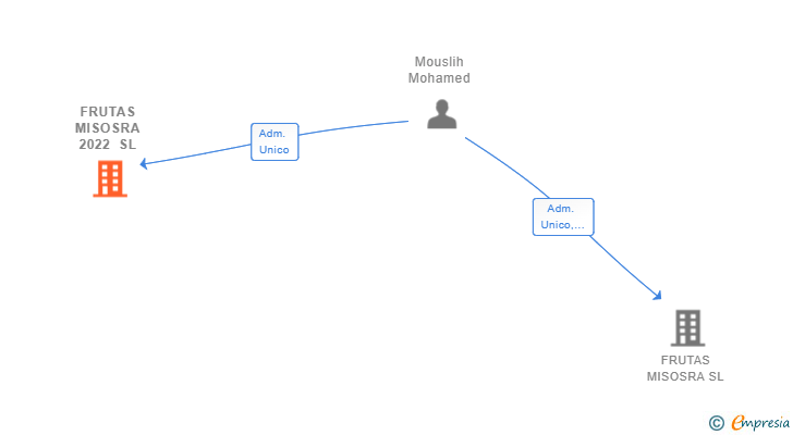 Vinculaciones societarias de FRUTAS MISOSRA 2022 SL