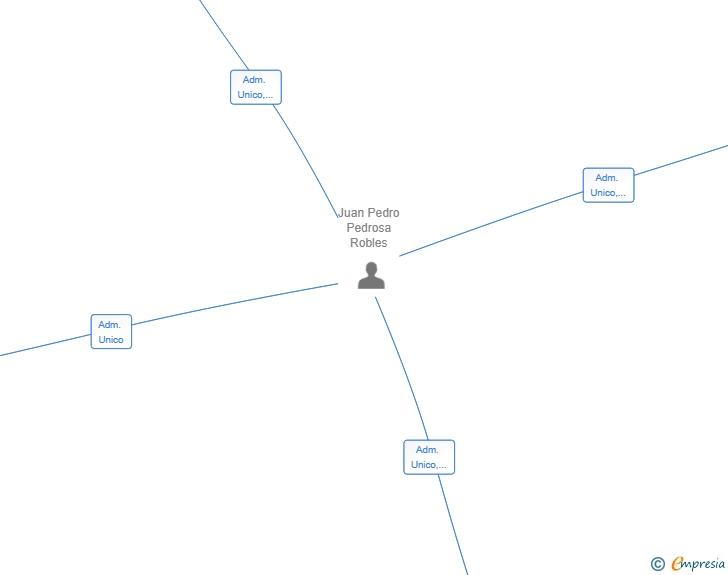 Vinculaciones societarias de PRIVACY DATA SYSTEMS SL