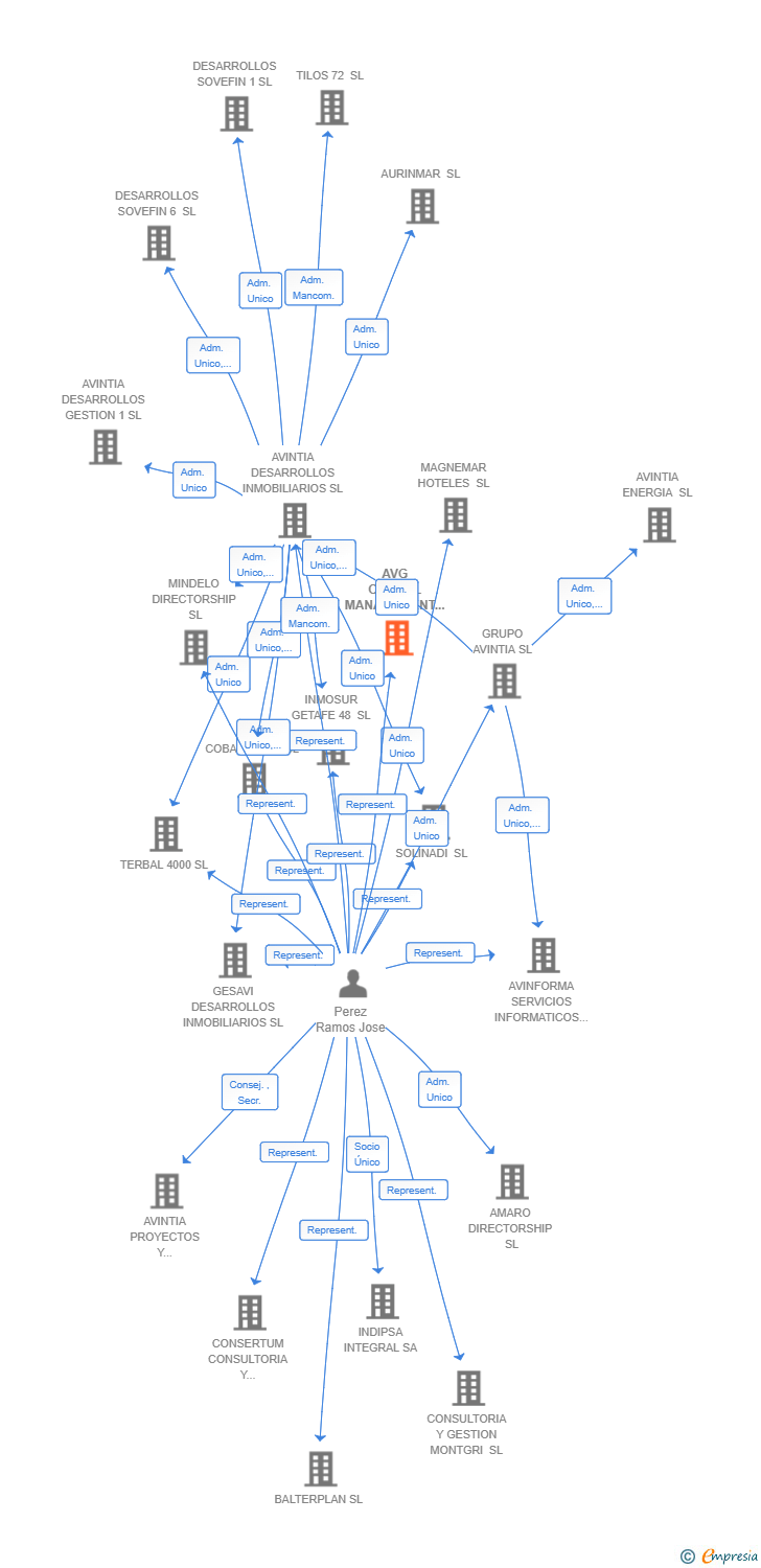 Vinculaciones societarias de AVG CAPITAL MANAGEMENT 12 SA