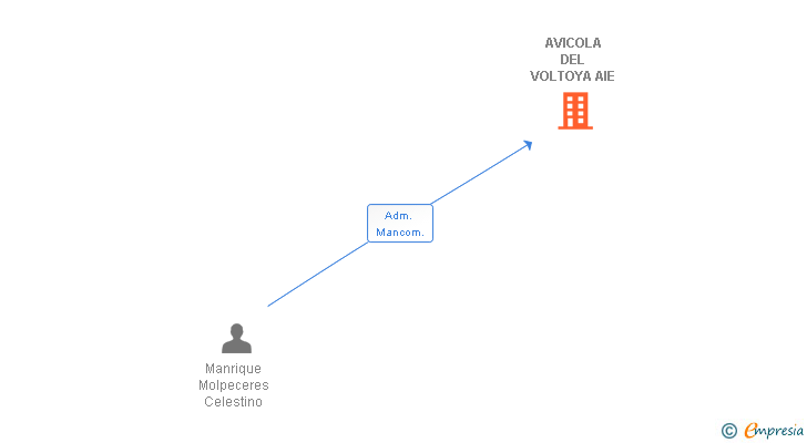 Vinculaciones societarias de AVICOLA DEL VOLTOYA AIE