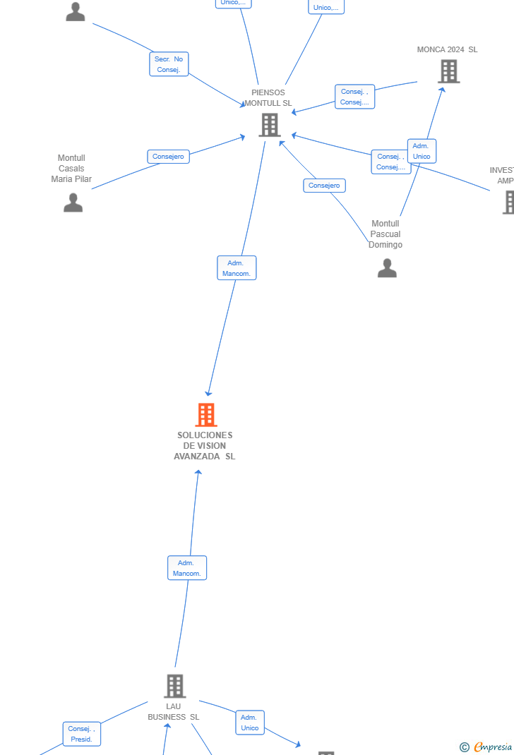 Vinculaciones societarias de SOLUCIONES DE VISION AVANZADA SL