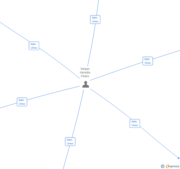 Vinculaciones societarias de VIREXON SL