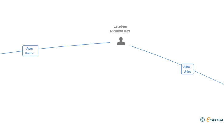 Vinculaciones societarias de BIMEI GESTION INDUSTRIAL SL