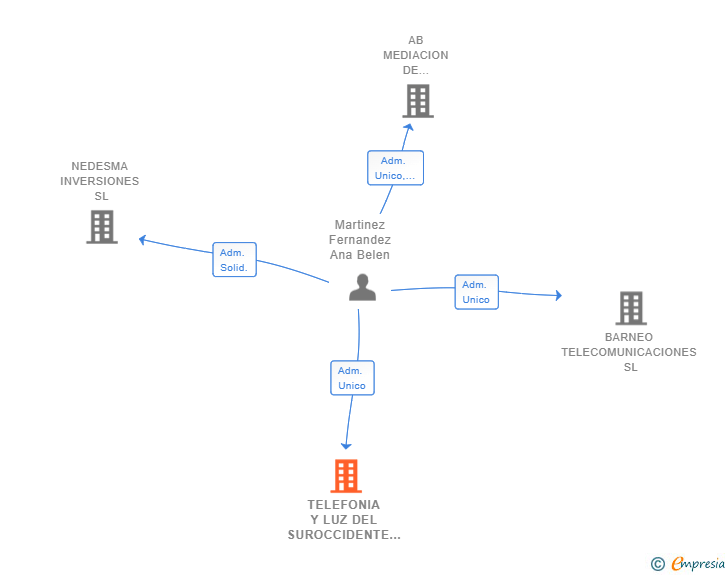 Vinculaciones societarias de TELEFONIA Y LUZ DEL SUROCCIDENTE SL