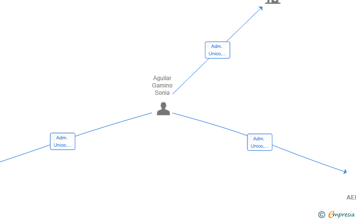Vinculaciones societarias de AEROGELSDK SL
