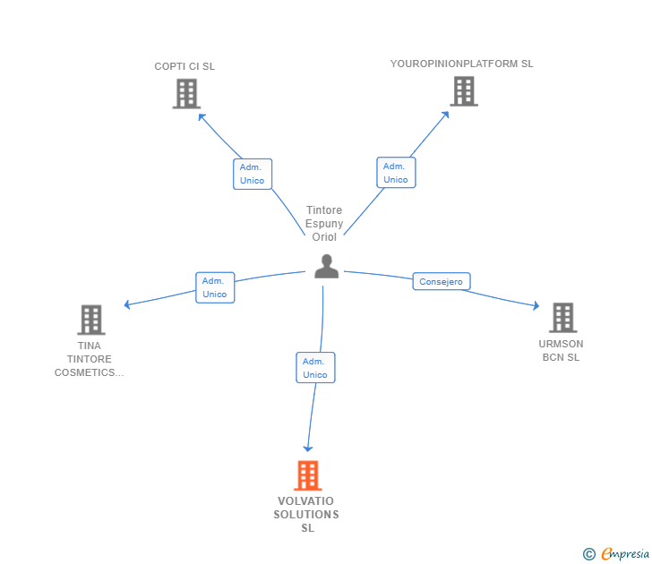 Vinculaciones societarias de VOLVATIO SOLUTIONS SL