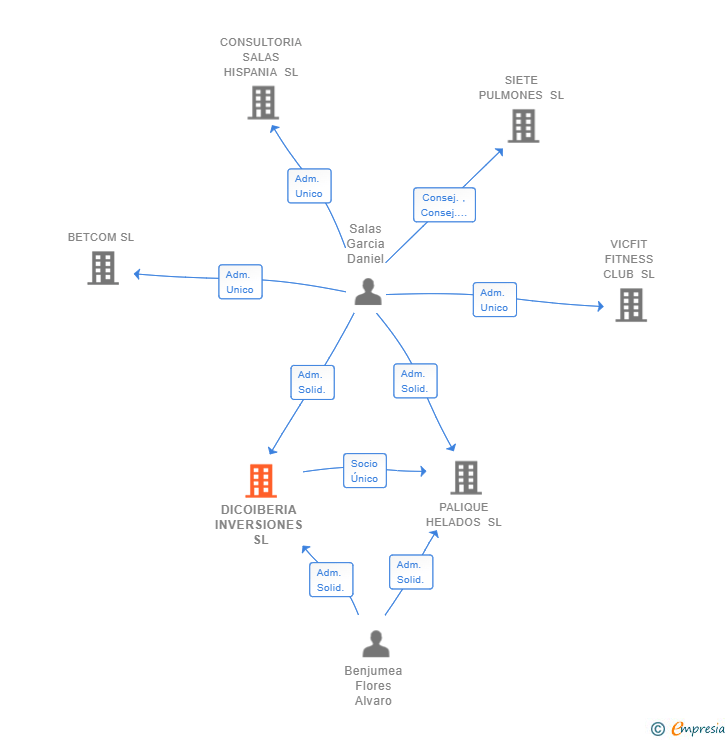 Vinculaciones societarias de DICOIBERIA INVERSIONES SL
