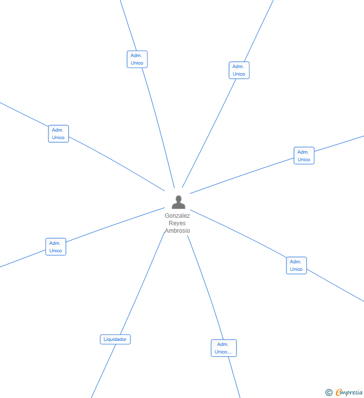 Vinculaciones societarias de ROYAL SOCIETY PLUS SL