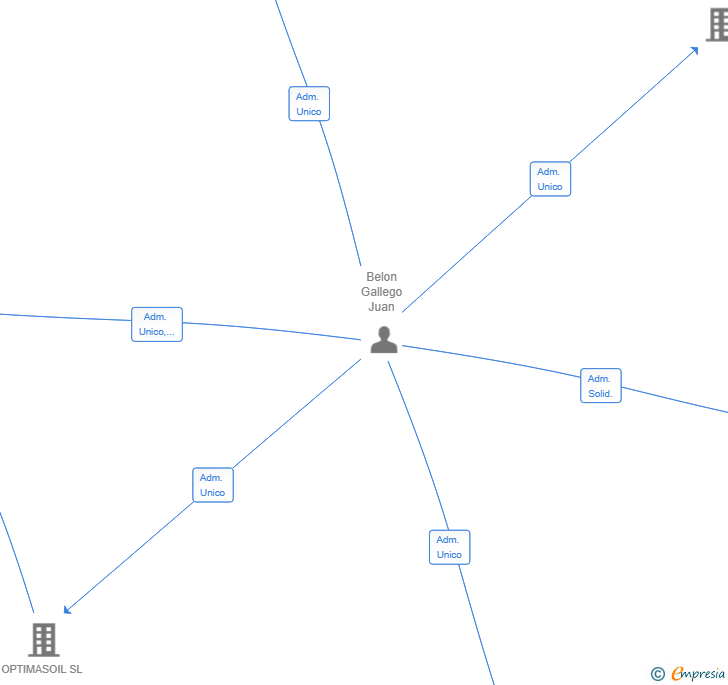 Vinculaciones societarias de VIRTUAL MIRROR SL