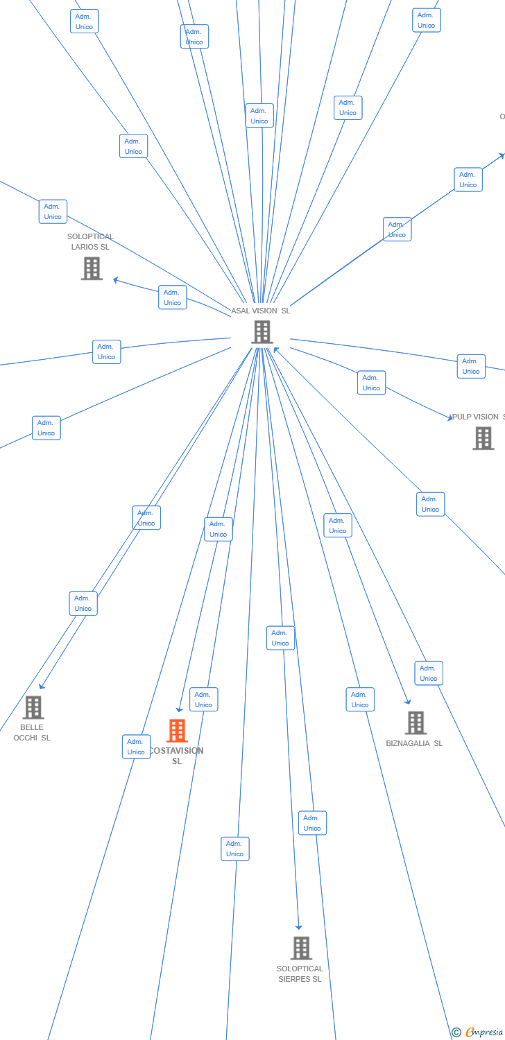 Vinculaciones societarias de COSTAVISION SL