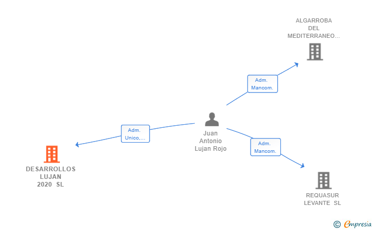 Vinculaciones societarias de DESARROLLOS LUJAN 2020 SL