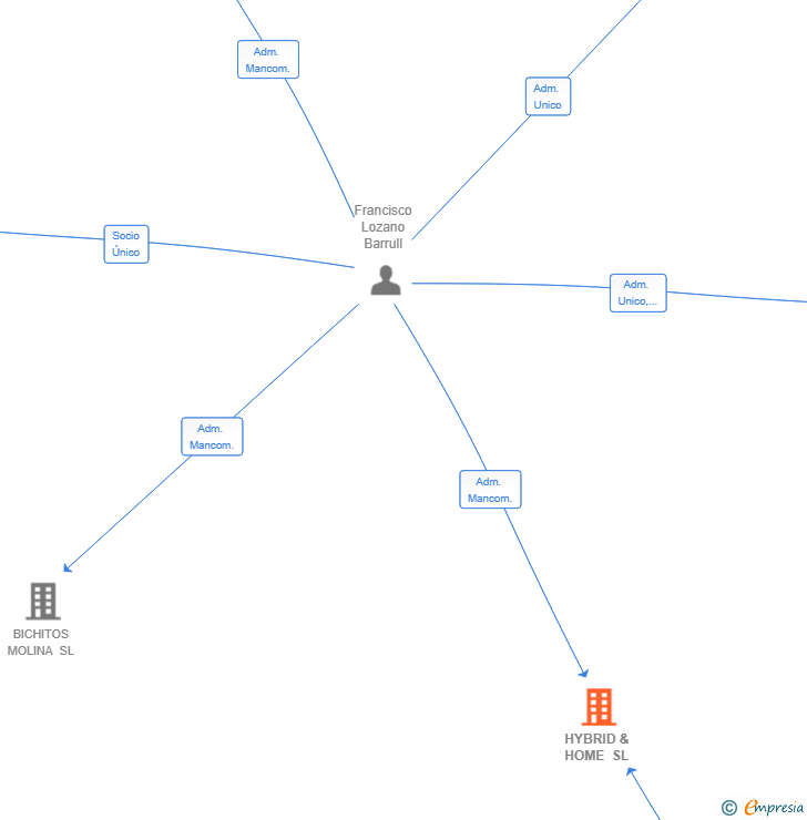 Vinculaciones societarias de HYBRID & HOME SL