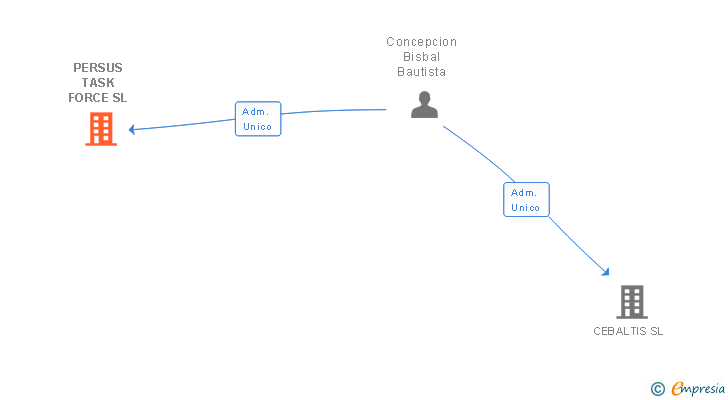 Vinculaciones societarias de PERSUS TASK FORCE SL