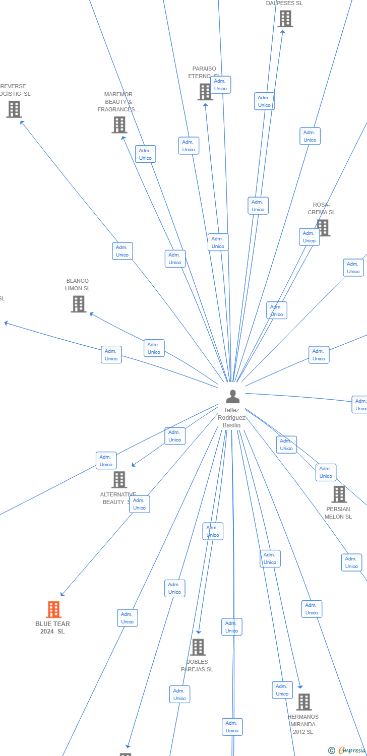 Vinculaciones societarias de BLUE TEAR 2024 SL