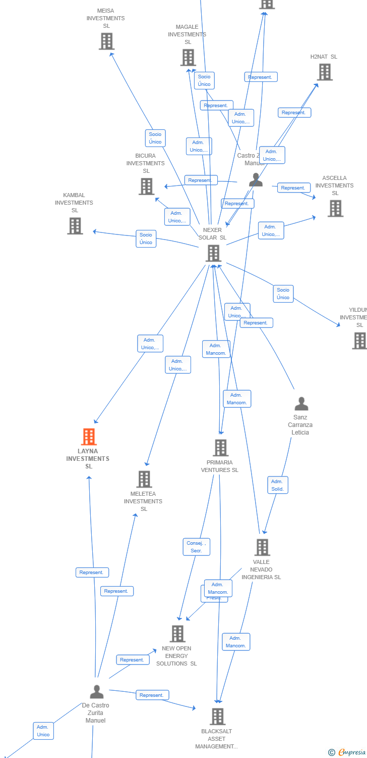 Vinculaciones societarias de LAYNA INVESTMENTS SL
