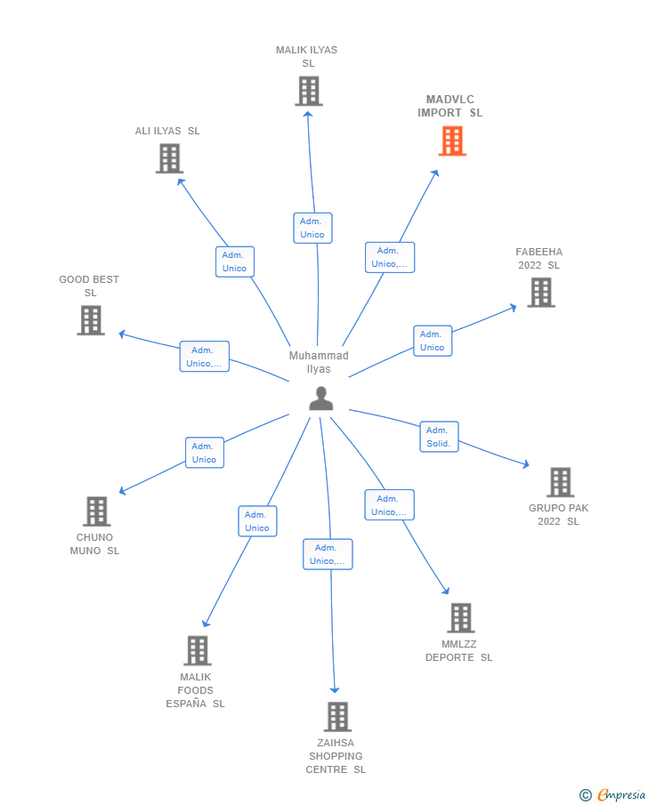Vinculaciones societarias de MADVLC IMPORT SL