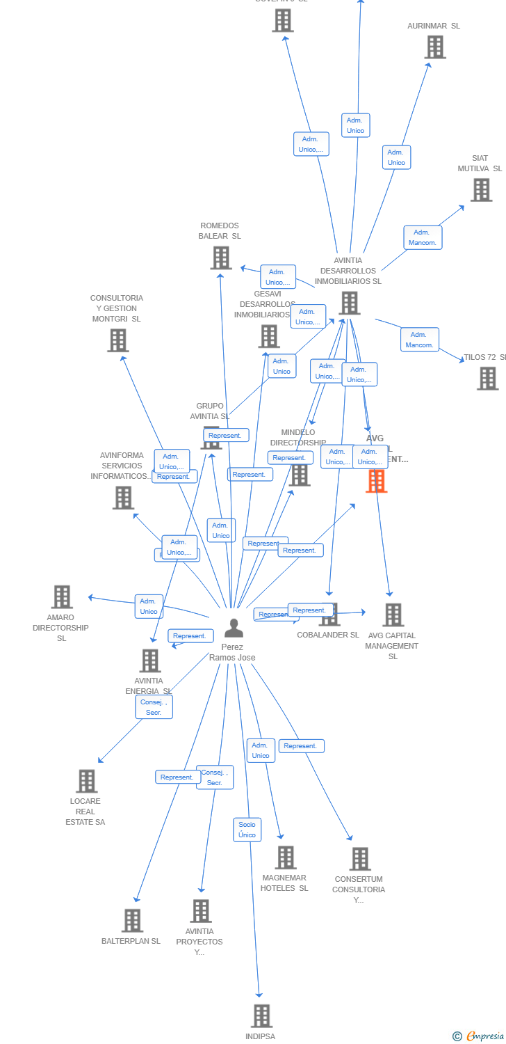 Vinculaciones societarias de AVG CAPITAL MANAGEMENT 21 SA