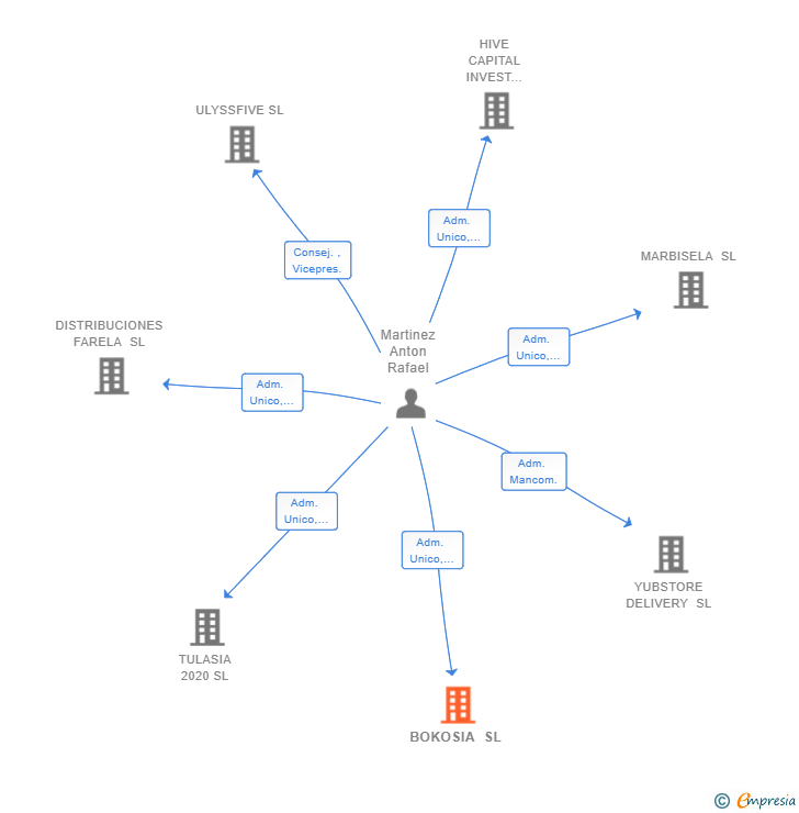 Vinculaciones societarias de BOKOSIA SL