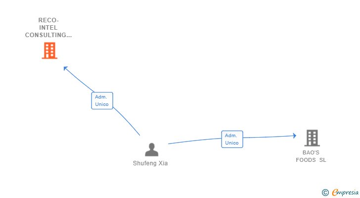 Vinculaciones societarias de RECO-INTEL CONSULTING SL