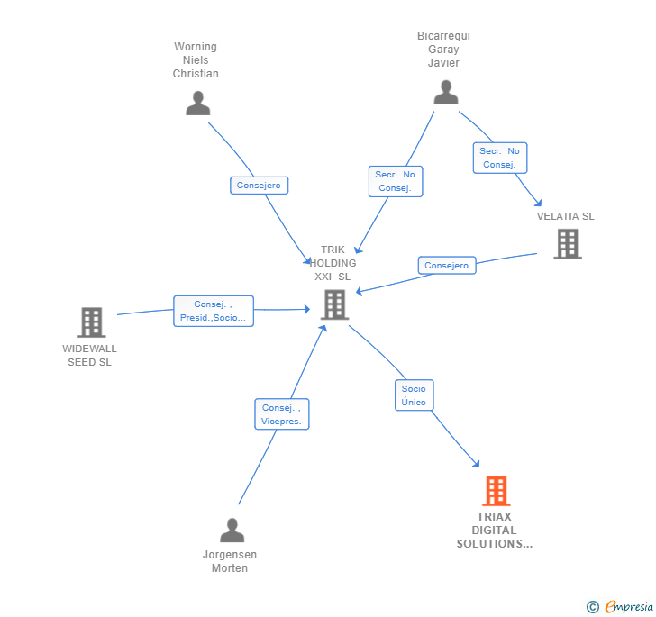 Vinculaciones societarias de TRIAX DIGITAL SOLUTIONS SL