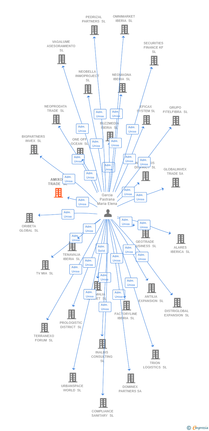 Vinculaciones societarias de AMIXON TRADE SL