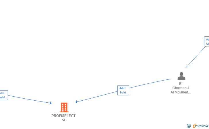 Vinculaciones societarias de PROFISELECT SL