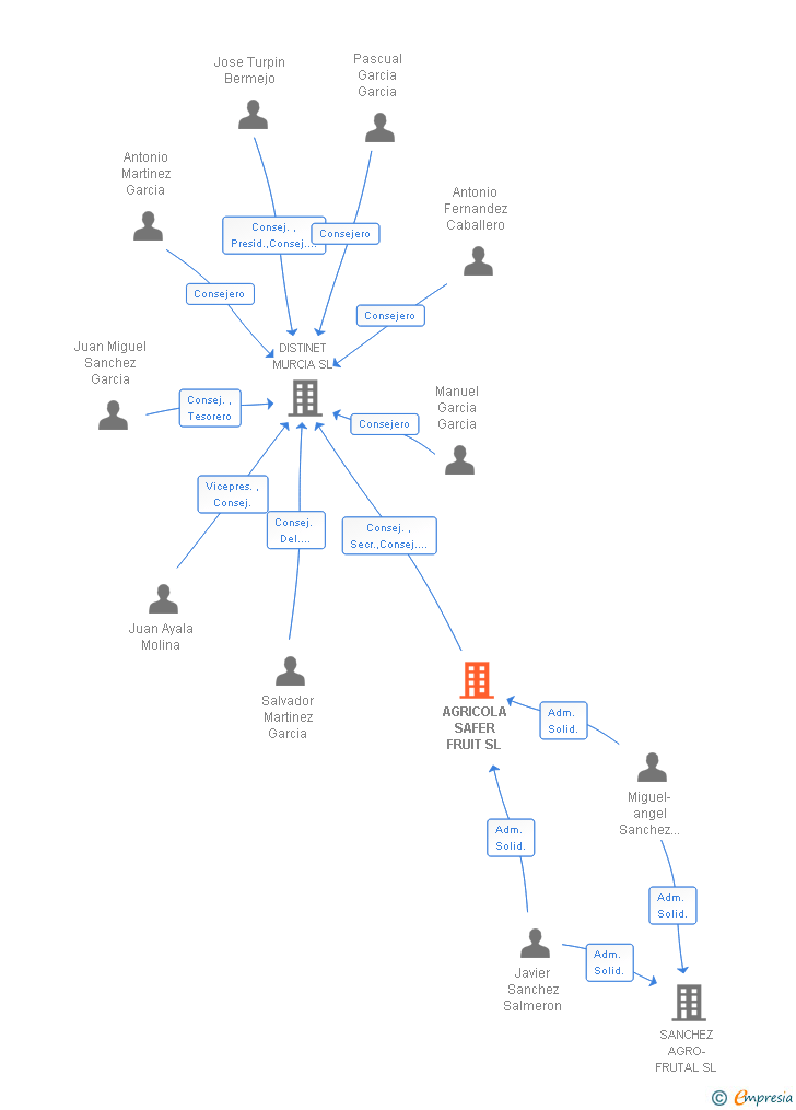 Vinculaciones societarias de AGRICOLA SAFER FRUIT SL