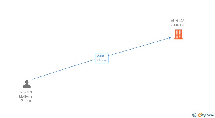 Vinculaciones societarias de AURIGA 2000 SL