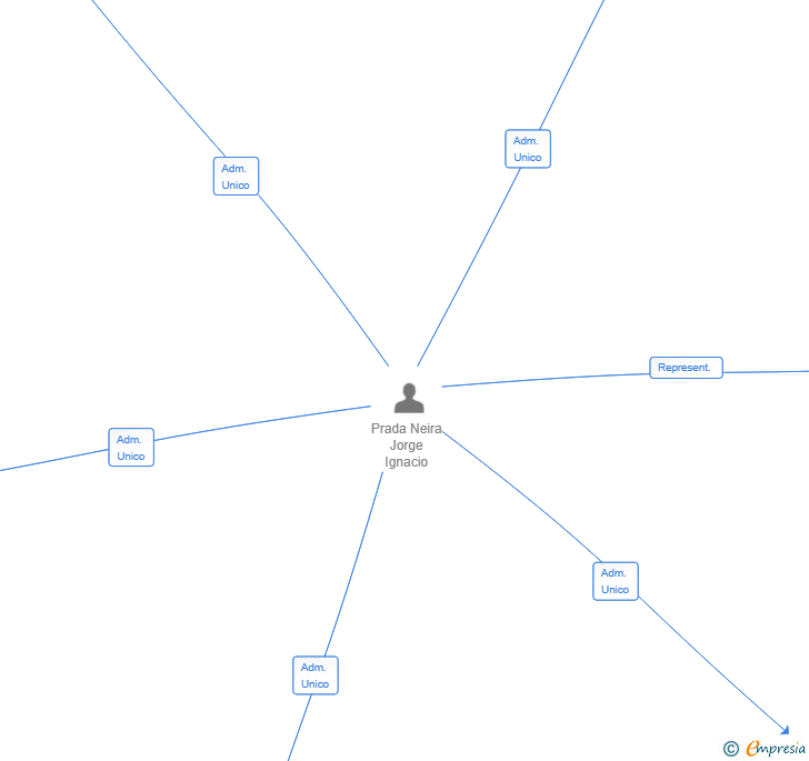 Vinculaciones societarias de PANEUROPEAN GLOBAL SERVICES SL