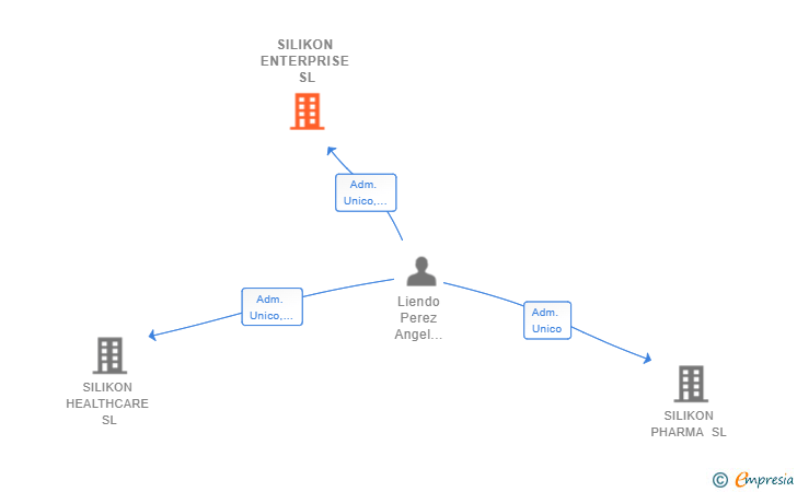 Vinculaciones societarias de SILIKON ENTERPRISE SL