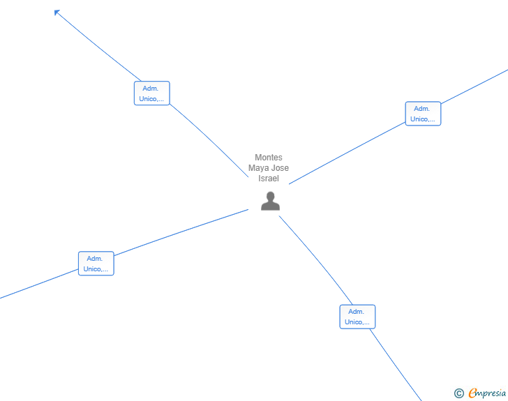 Vinculaciones societarias de MULTISERVICIOS MAYA SL