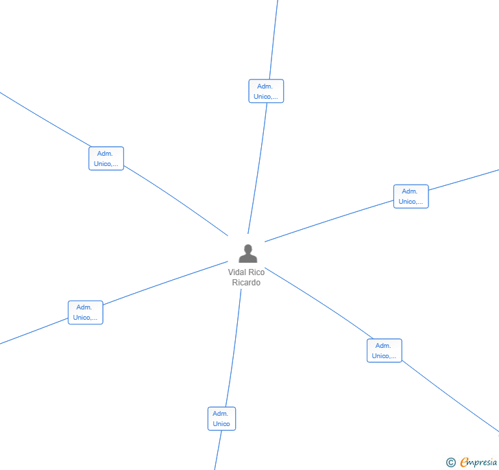 Vinculaciones societarias de TEAMRIKIRT SL