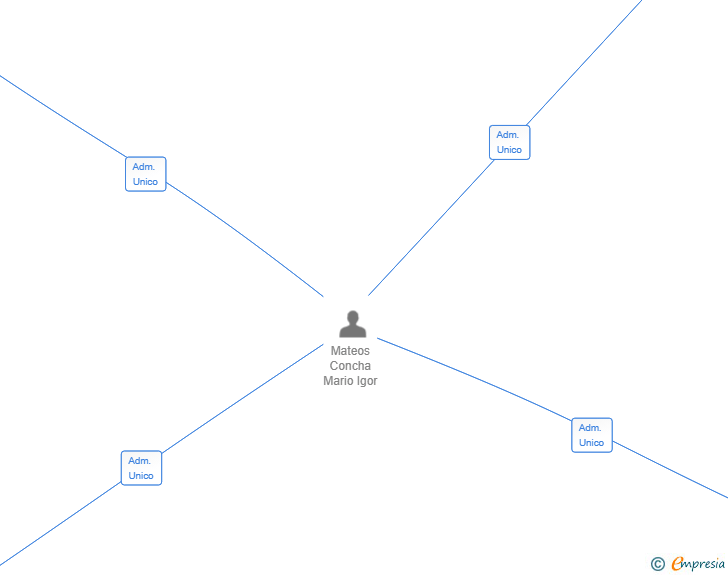 Vinculaciones societarias de PSM CAPITAL XXI SL