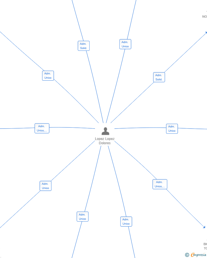 Vinculaciones societarias de KIMOKI SL