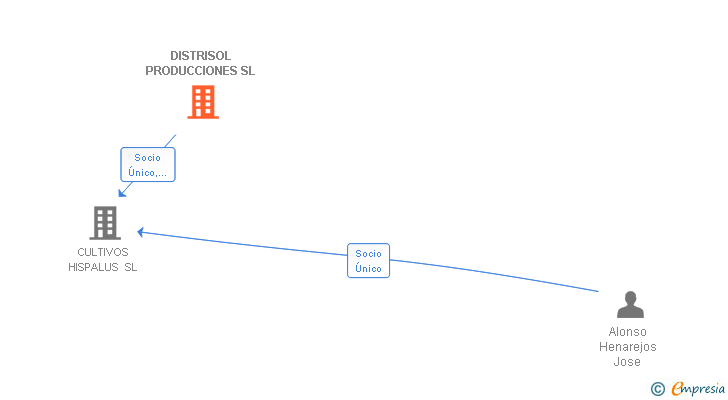 Vinculaciones societarias de DISTRISOL PRODUCCIONES SL