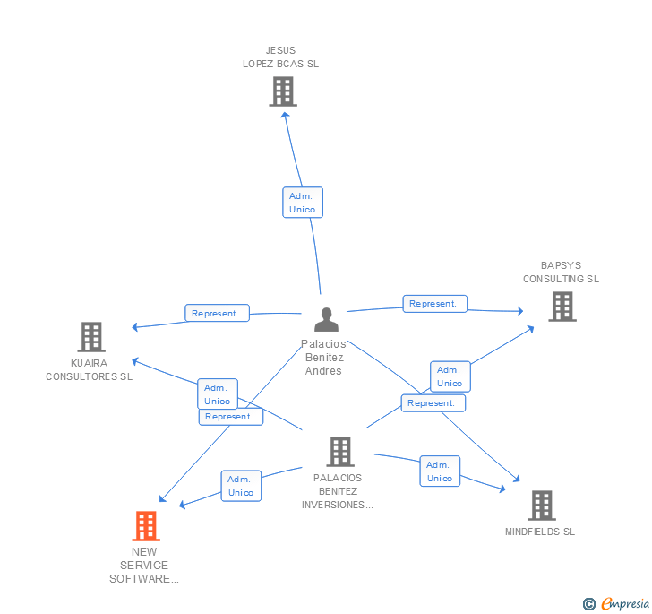 Vinculaciones societarias de NEW SERVICE SOFTWARE GROUP SL