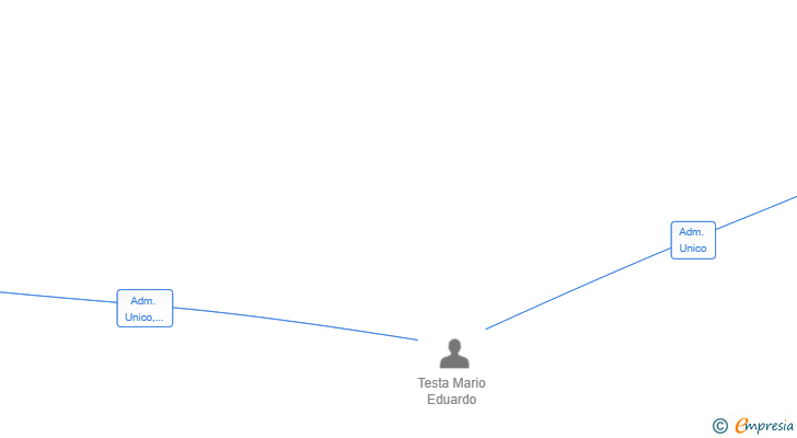 Vinculaciones societarias de NEW TESTA HORIZON GROUP SL