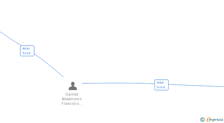 Vinculaciones societarias de TECNOLOGIAS DE VIGILANCIA Y DETECCION SL