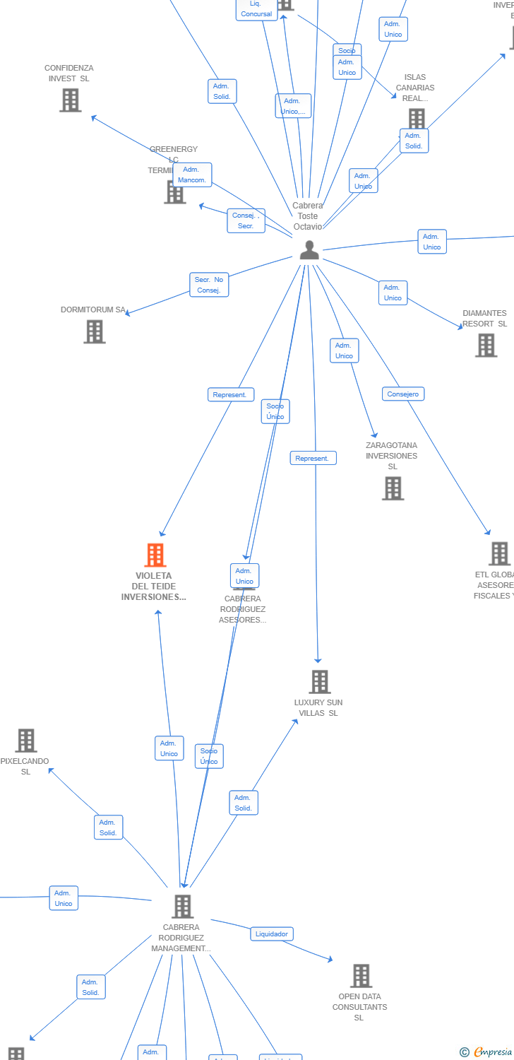 Vinculaciones societarias de VIOLETA DEL TEIDE INVERSIONES SL
