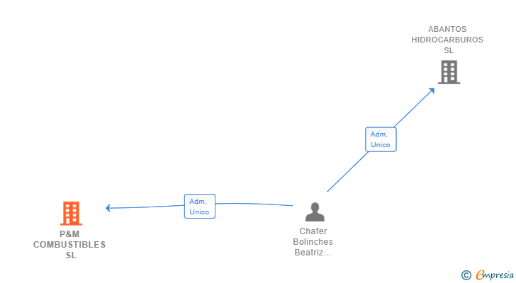 Vinculaciones societarias de P&M COMBUSTIBLES SL
